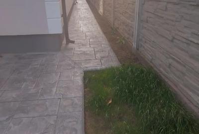 Casă cu 3 camere în Utvin - 2