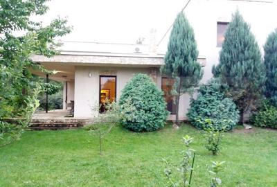 Casa deosebita, 5 camere, 800 mp teren, zona Bogdanestilor - 7