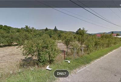 Spațiu comercial, în Eșelnița - 1