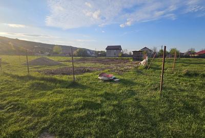 Teren de 500 mp, în Exterior Vest - 4