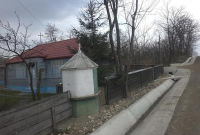 Casă cu Teren 2000 Mp în Miorcani - 7