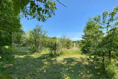 Teren intravilan de vanzare 30 ari Zona Podul Jelne - 3