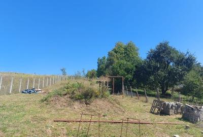 De vanzare teren in Corunca , zona Primariei - 2
