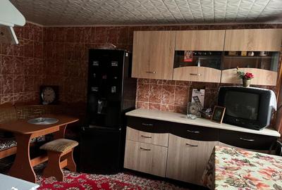 Casă cu 2 camere cu Teren 4368 Mp în Certeju de Sus - 3