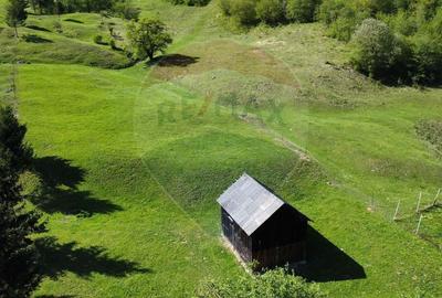 Teren 12,127mp Frasin / Drumul Forestier Valea Seaca - 15