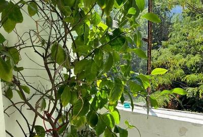 Apartament 3 camere, 67 mp, zona Simplon - 4