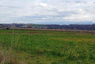 Vand teren Sibiu 5700mp - 2