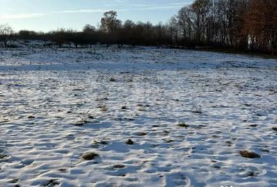 Teren de 9100 mp, în Central