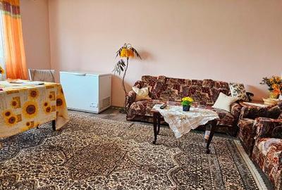 Proprietate Slobozia-Roznov, casa mansardata, teren si livada - 11