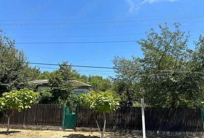 Casă cu 5 camere cu Teren 1100 Mp în Oltina - 4