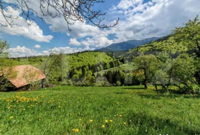 Teren de 3400 mp, în Bran - 7