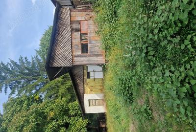 Csa 2 camere. Cosesti-Arges. - 3