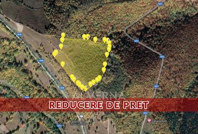 OPORTUNITATE | Teren intravilan | 34.625 mp | Plopi - Valea Ierii - 1