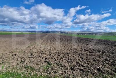 Teren de 15000 mp, în Central - 6