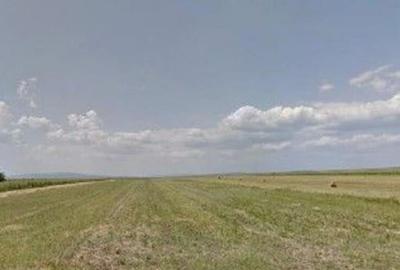 Teren extravilan cota parte 1/3 Cernatesti , ID: R2586146 Teren extravilan cota parte 1/3 Cernatesti , ID: R2586146 - 11