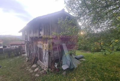 Casa batraneasca cu teren (4.910 mp) la Alunis - 1