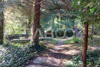 Casa de vanzare cu 2 apartamente separate si teren 500 mp Cisnadioara - 2