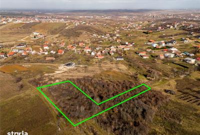Teren de 3464 mp, în Oncea - 8