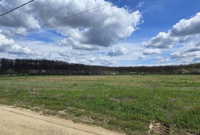 Spațiu comercial, în Ciofliceni - 3