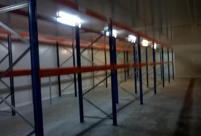 Far - Zona Industriala , hala frigorifica 527 mp. - 4