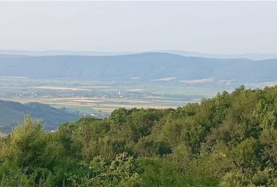 Spațiu comercial, în Central - 4