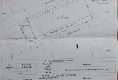 Hala in Campina--280 mp--800e - 5