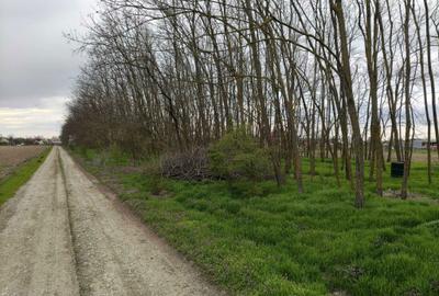 Spațiu comercial, în Lipia - 2