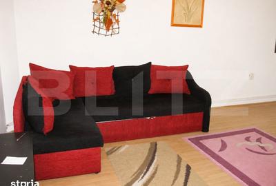 Apartament cu 2 camere decomandat în Mureșeni - 4