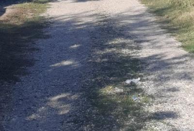 Teren de 780 mp, în Văleni - 2