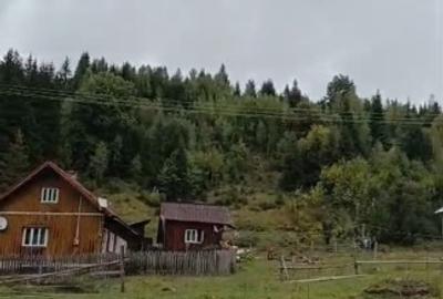 Teren Construcții intravilan de 6000 mp, în Ortoaia - 11