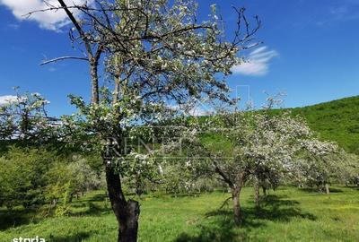 Spațiu comercial, în Budeasa - 10