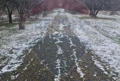 Spațiu comercial, în Hovrila - 3