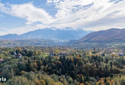 Spațiu comercial, în Predeluț - 5