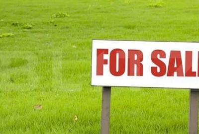 Teren de 1200 mp, în Marginea - 1