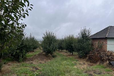 Spațiu comercial, în Cândești - 1