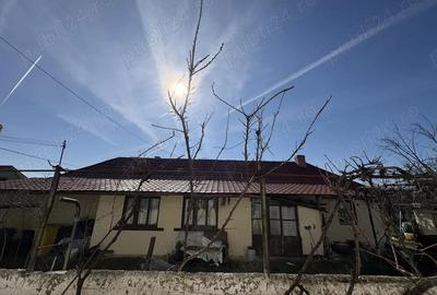 Casă cu Teren 924 Mp în Grădiște - 3