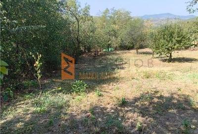 Casa tip parter zona Lunca Frumoasa, Parscov - 27