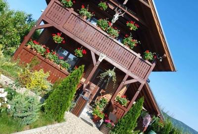 Casă cu 2 camere în Pericei - 8