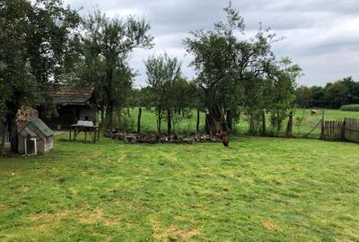 Vand casa cu etaj, dependinte si anexe gospodaresti - 11