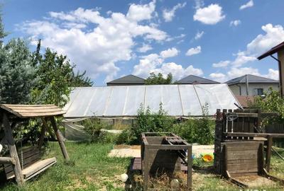 Teren Bragadiru - Crisul Repede Teren Bragadiru - Crisul Repede - 4