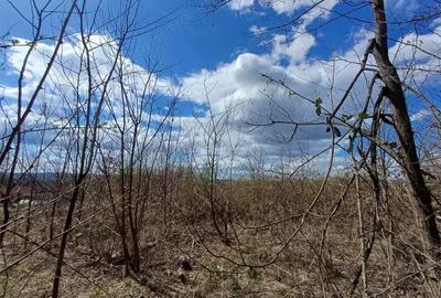 Teren de 5265 mp, în Central - 4