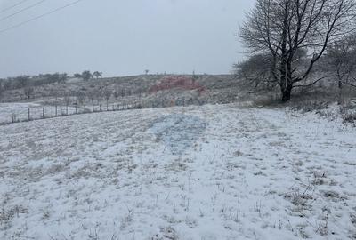 Teren 8,300mp Negresti (Dobreni) / Drumul DEALUL OTEL - 4