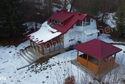 Casă cu 4 camere cu Teren 1435 Mp în Bradu - 10