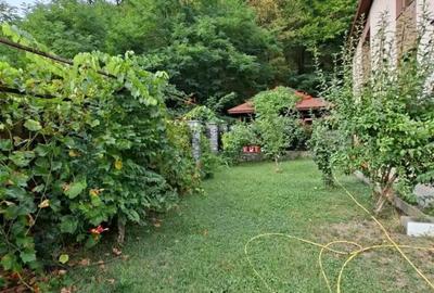 Vand Casa in Pausa Calimanesti - 3