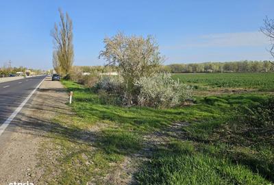 Spațiu comercial, în Potigrafu - 2