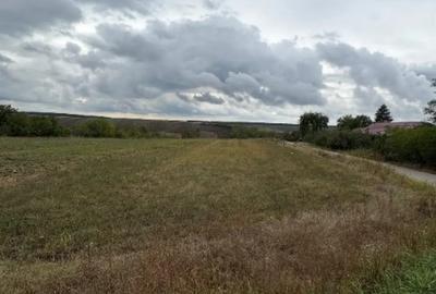 Teren în Vlad Țepeș - 9