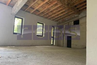 VANZARE VILA INTERBELICA | VIITORULUI | 374MP | CURTE 260MP | - 16
