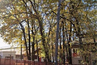 Spațiu comercial, în Gura Ocniței - 4