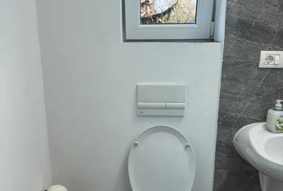 Ofer spre inchiriere STUDIO Modern si Primitor - 6