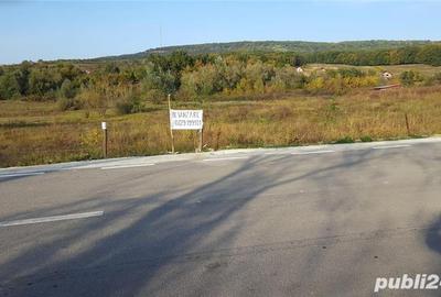 Teren de 8000 mp, în Bârnova - 1